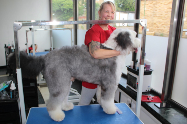 dog grooming session with a woman and a fluffy dog on a grooming table featuring a professional environment