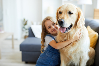 young girl hugging a golden retriever dog in a cozy living room home