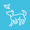 dog chasing a bird on a blue background playful moments in nature