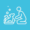 person bathing a dog with soap bubbles pet care grooming fun