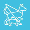 two dogs on leashes walking outside with a light blue background featuring a playful design for pet owners and dog lovers