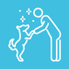 person playing with a dog in a bright blue background enjoying a joyful moment